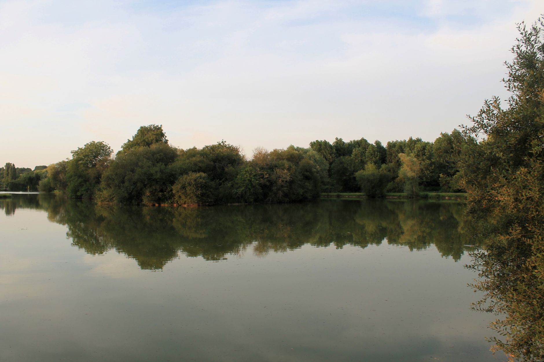 Plan d'eau bordé d'arbres